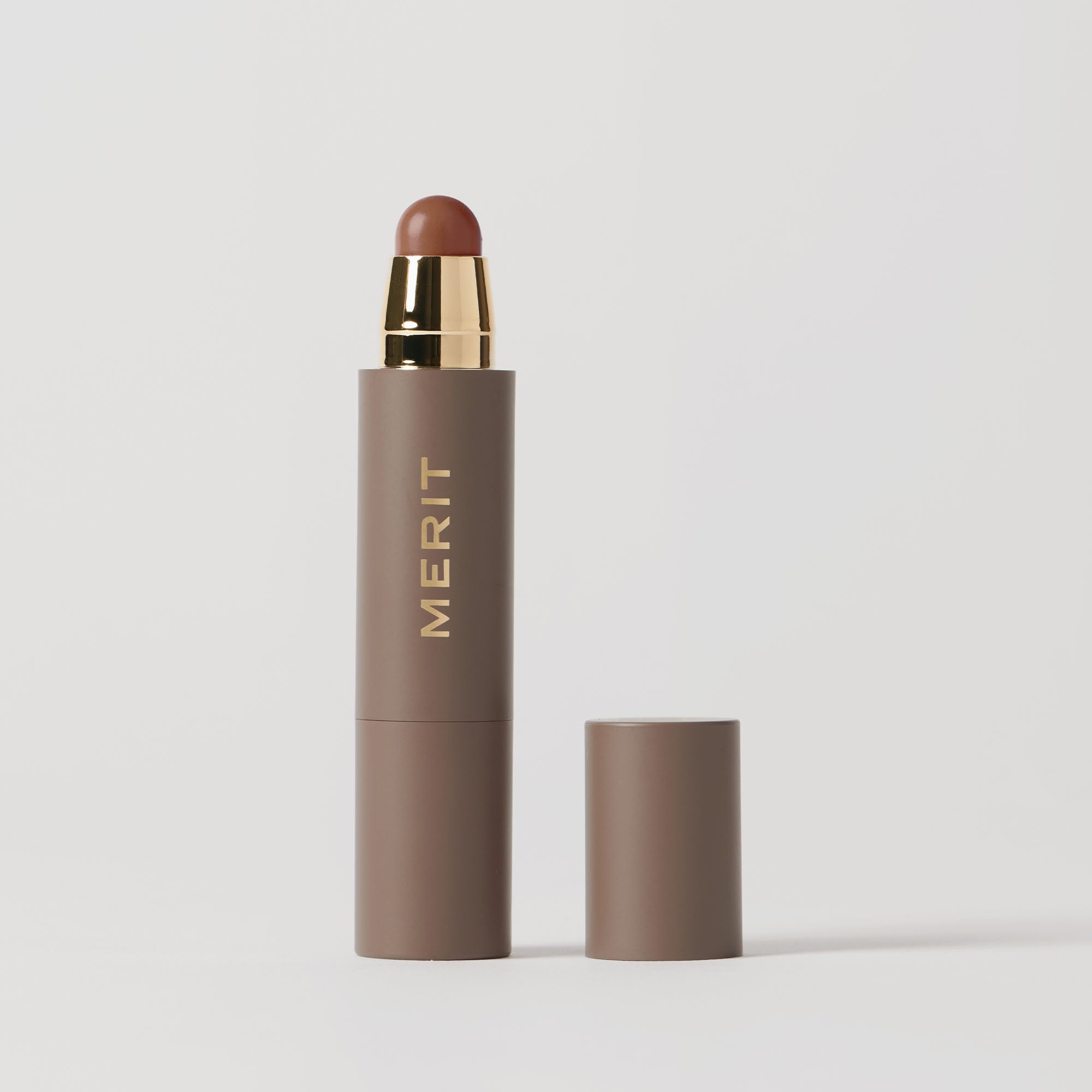 MERIT-Minimalist-SEPIA.jpg